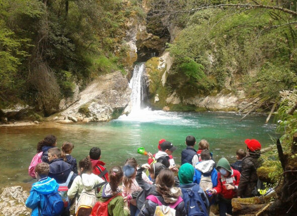 PERCORSI E PROGETTI-Percorsi Tematici per Gruppi Classe